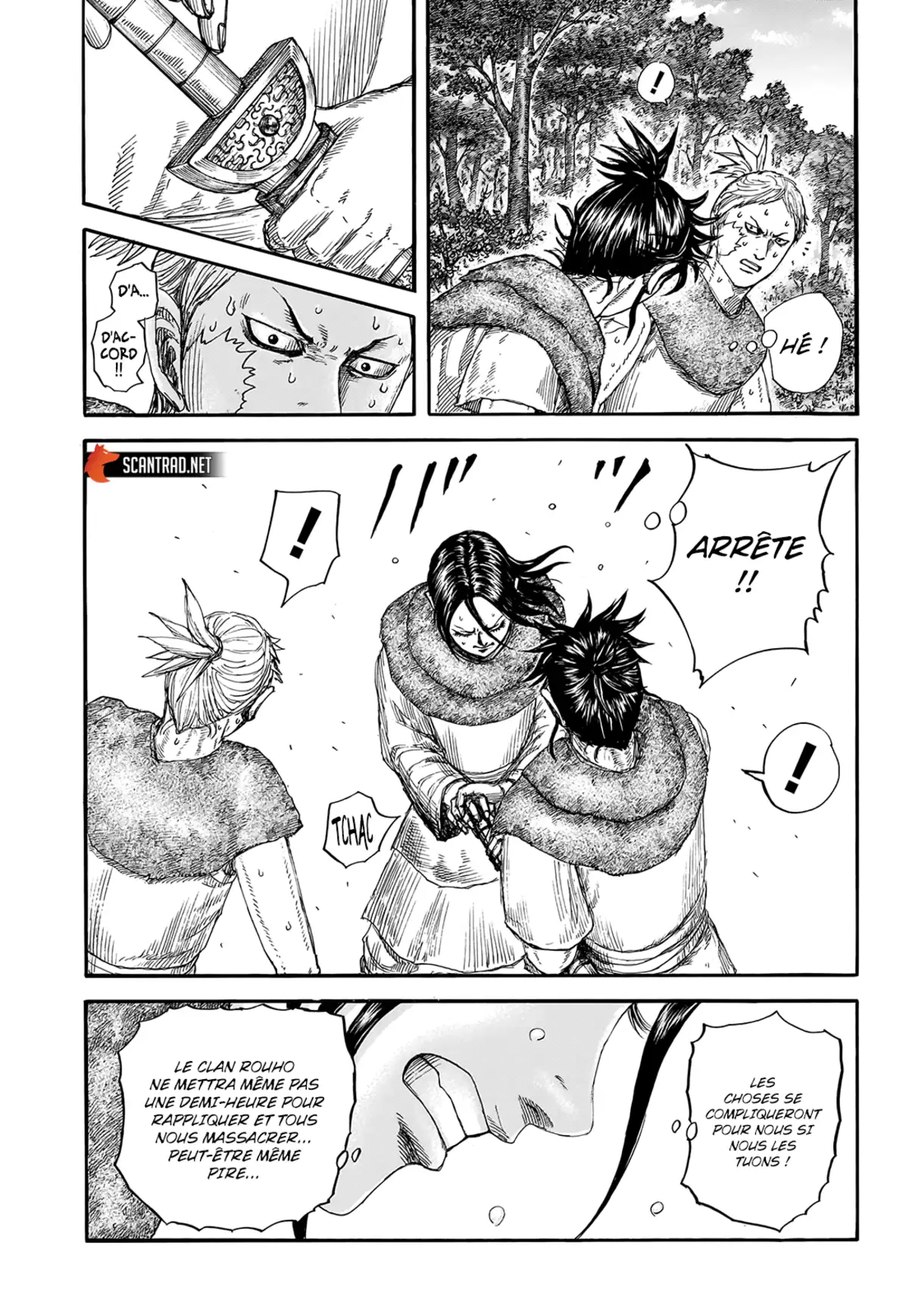 Kingdom Chapitre 733 page 13