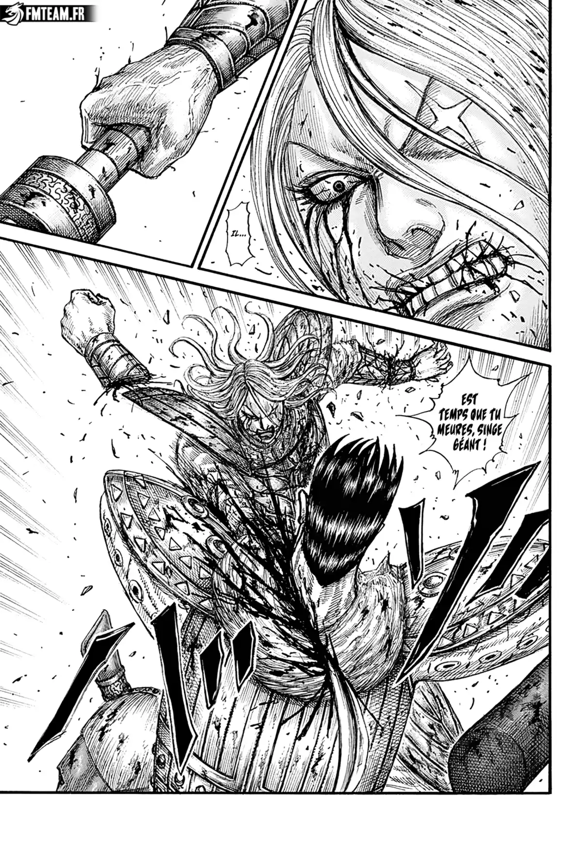 Kingdom Chapitre 787 page 13