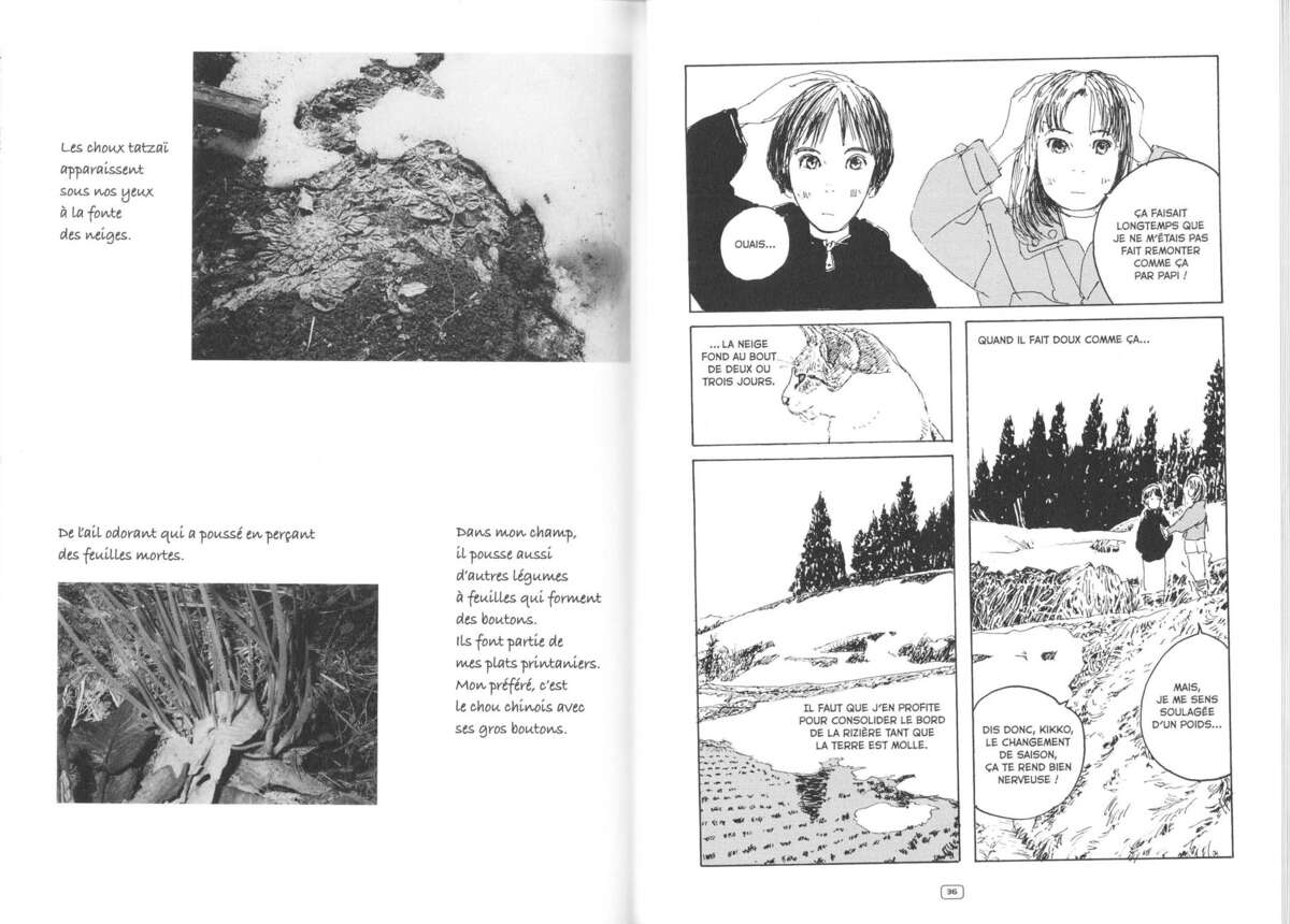 Petite Forêt Volume 2 page 20