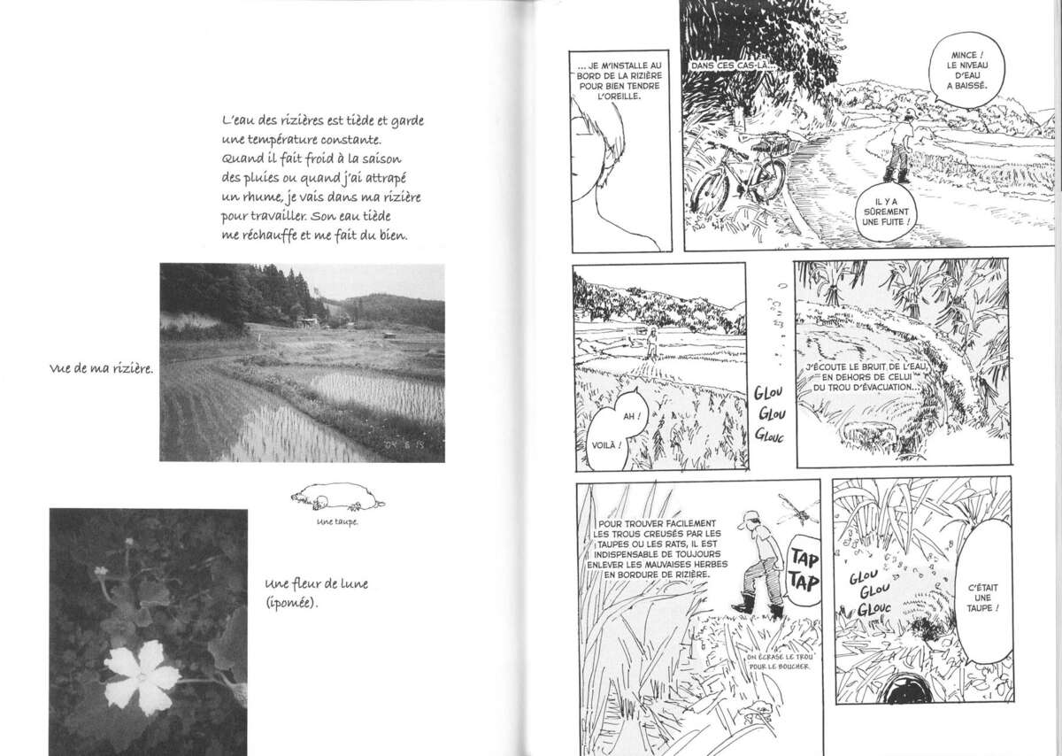 Petite Forêt Volume 2 page 35