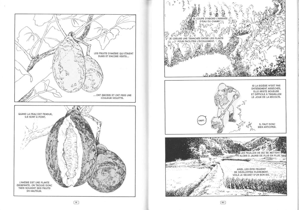 Petite Forêt Volume 2 page 42