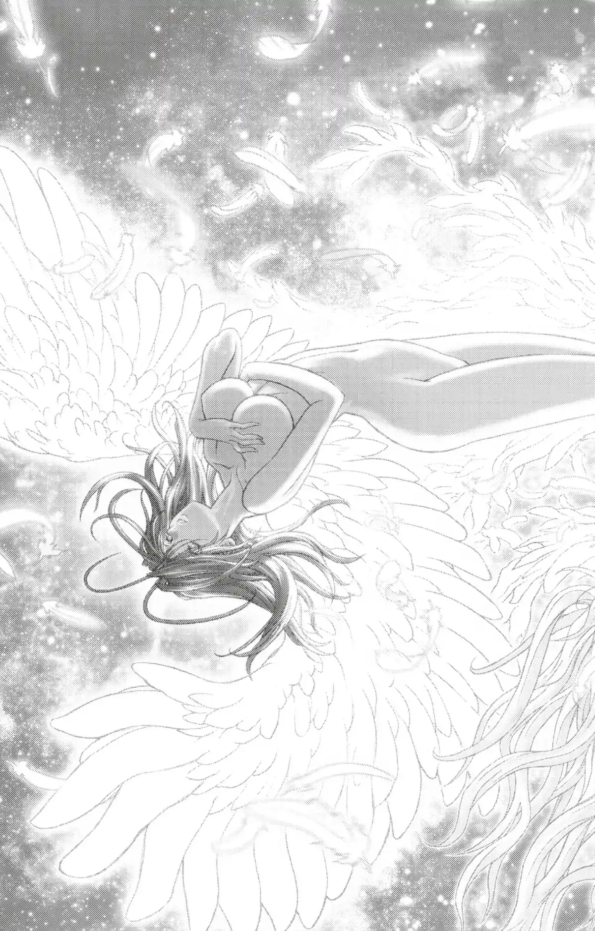 Bastard !! Volume 26 page 62
