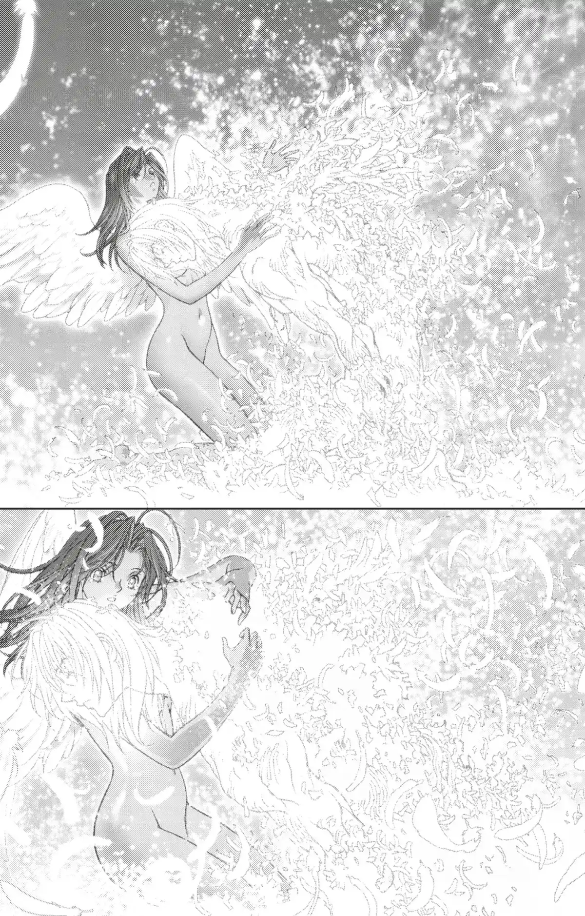 Bastard !! Volume 26 page 87