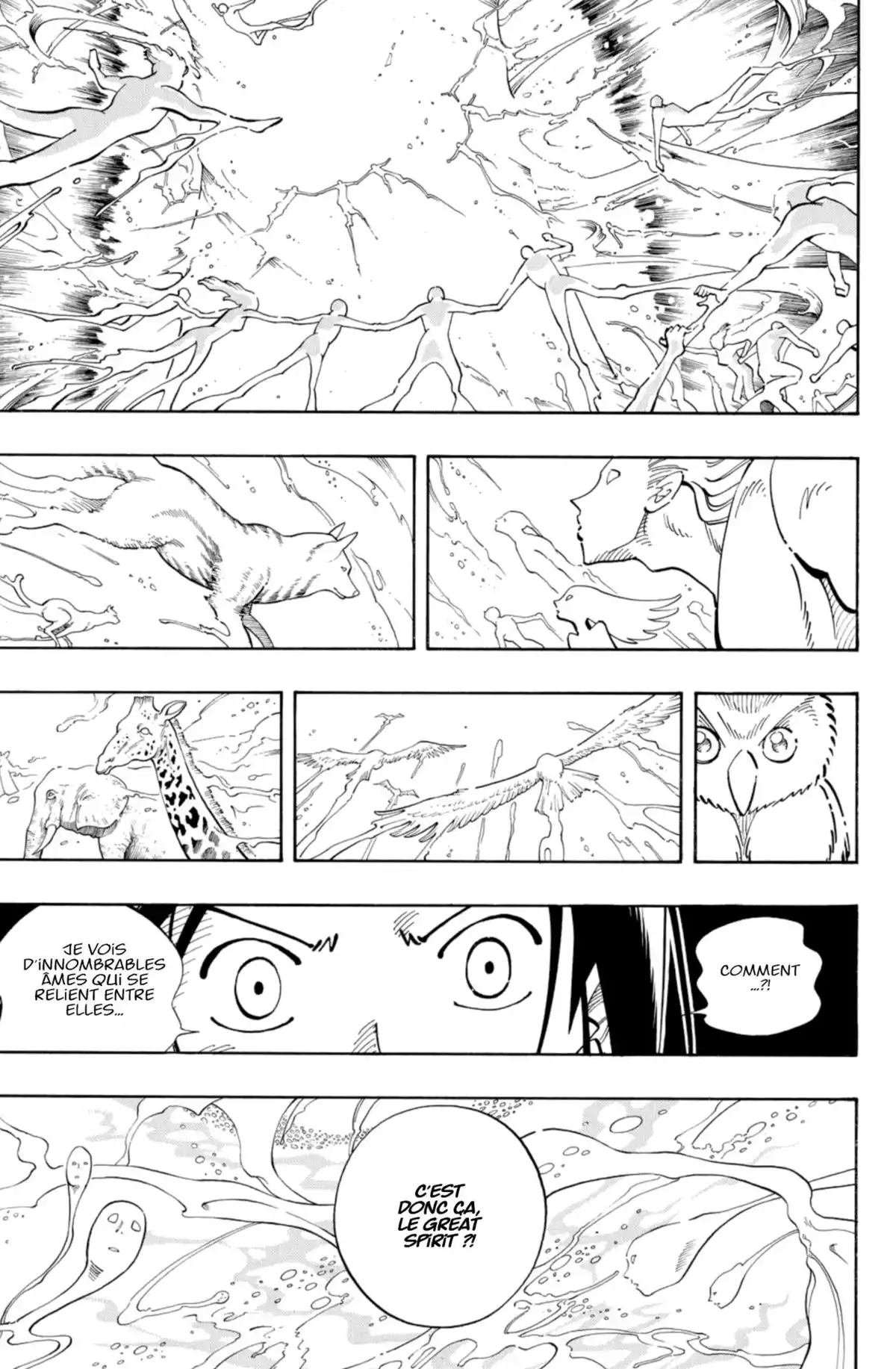 Shaman King – Star Edition Volume 7 page 14