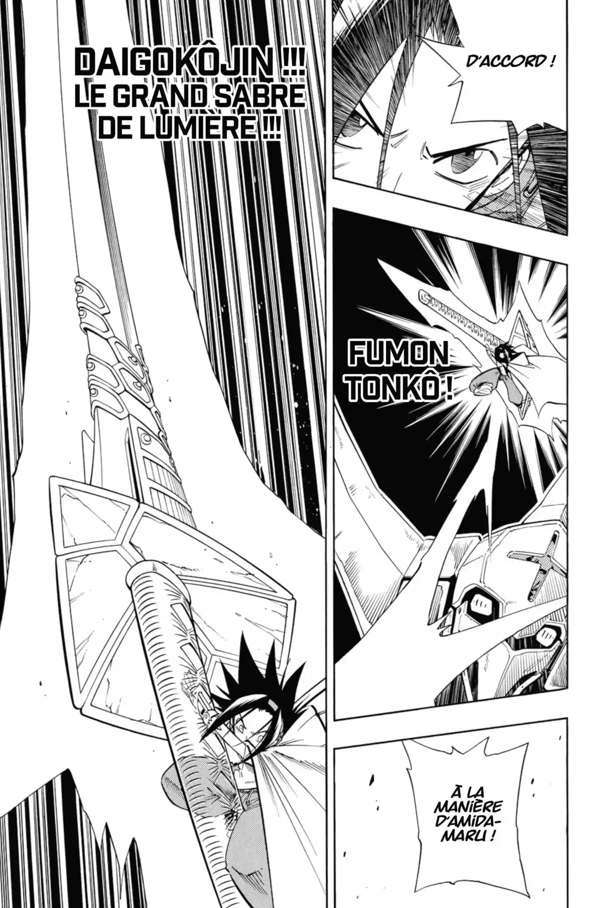 Shaman King – Star Edition Volume 13 page 17