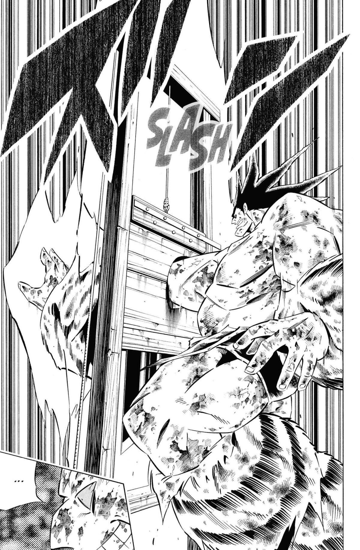 Shaman King – Star Edition Volume 16 page 149