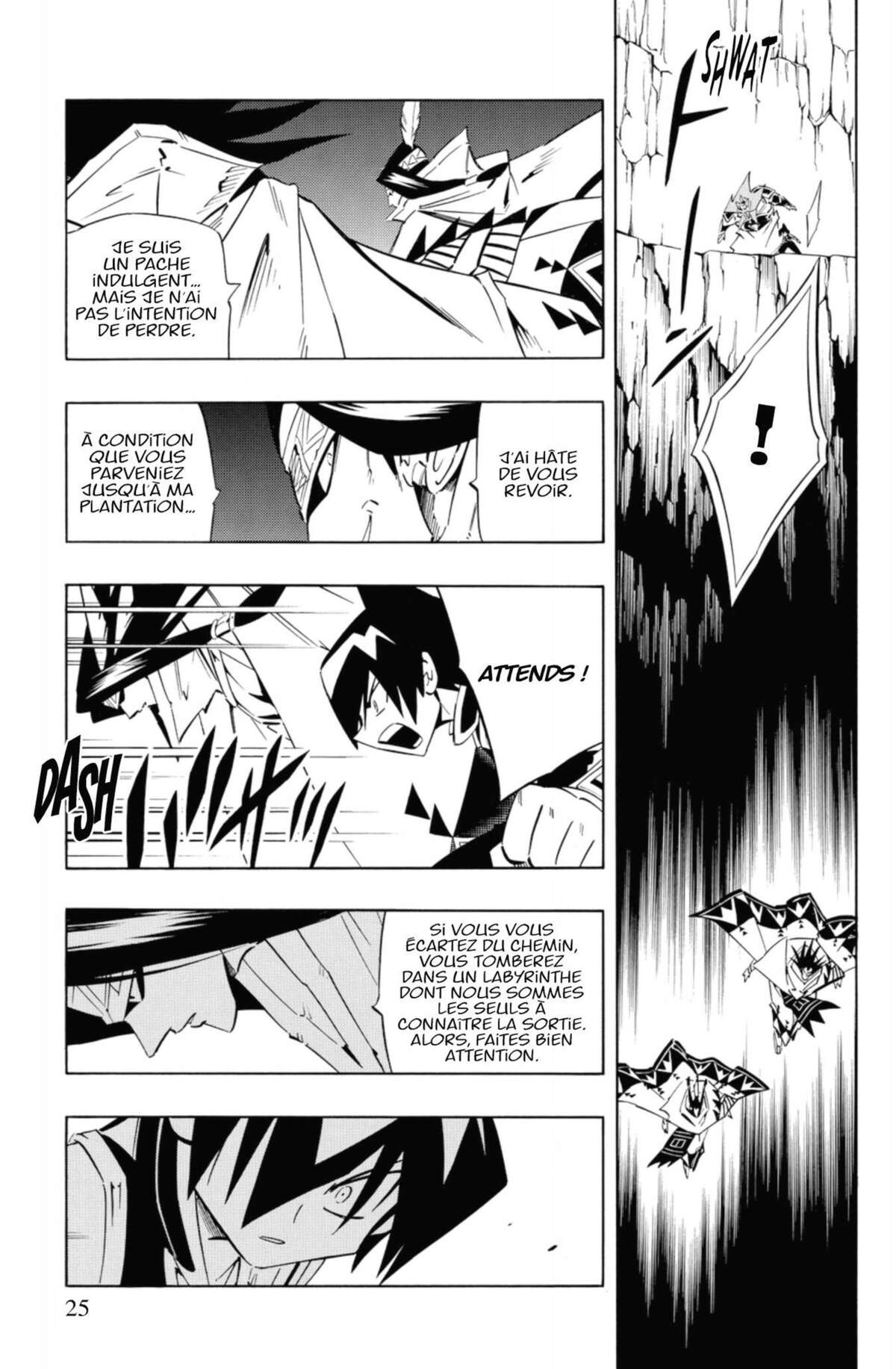 Shaman King – Star Edition Volume 16 page 24