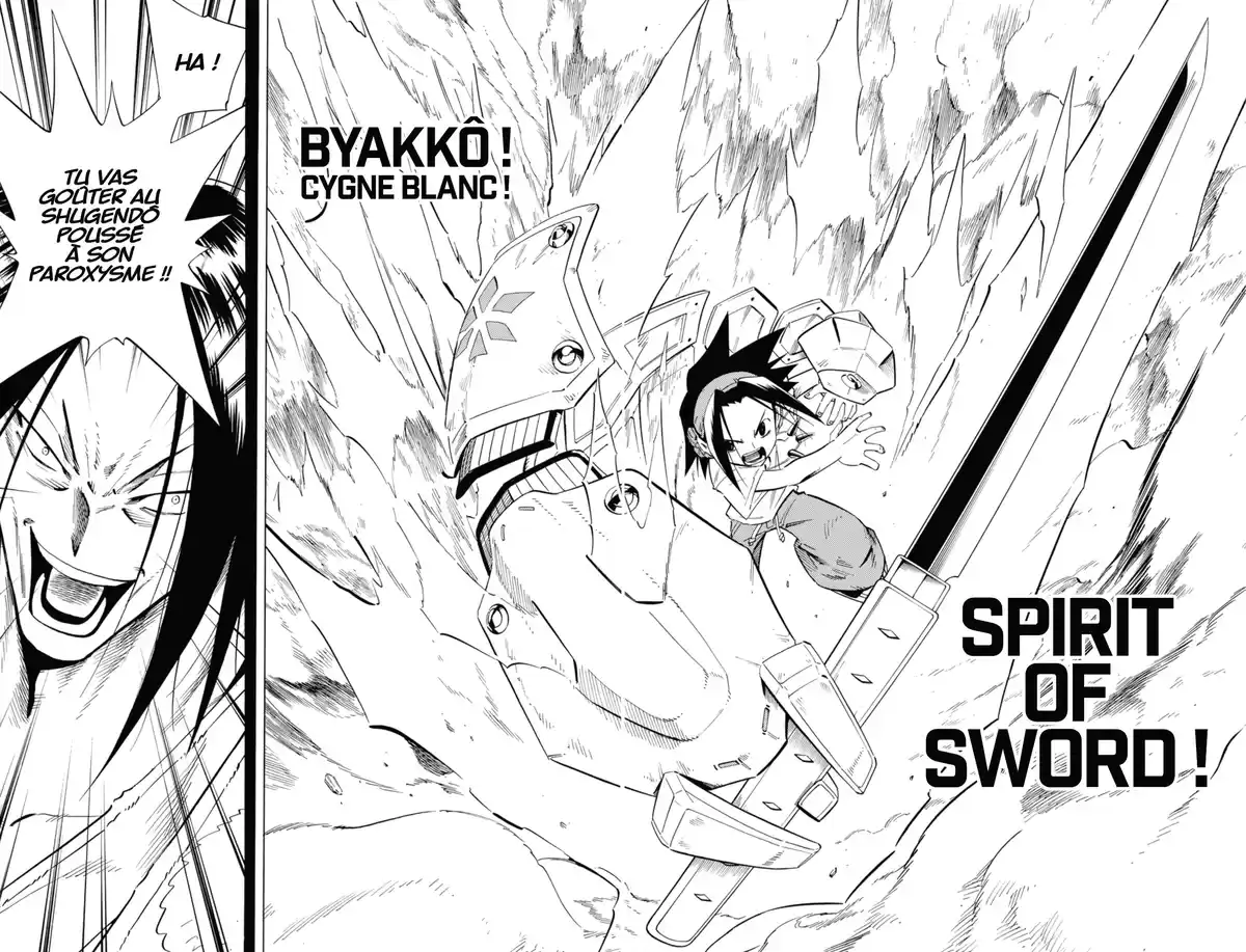 Shaman King – Star Edition Volume 14 page 44