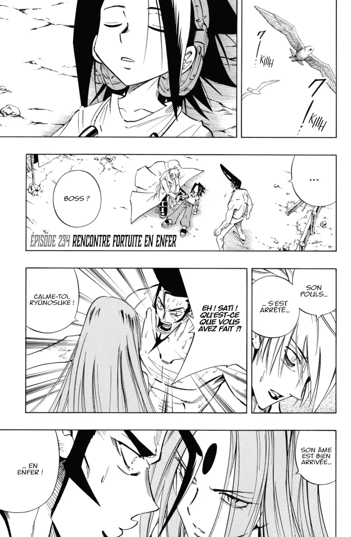 Shaman King – Star Edition Volume 14 page 8