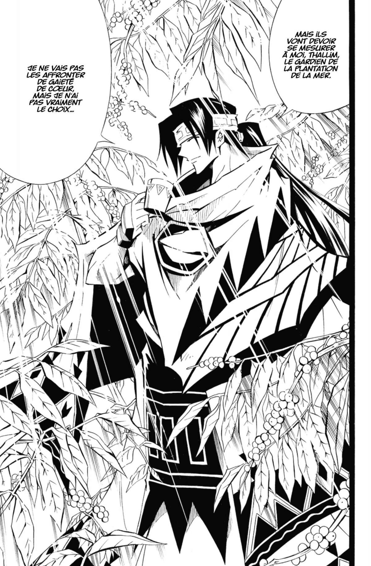 Shaman King – Star Edition Volume 17 page 112