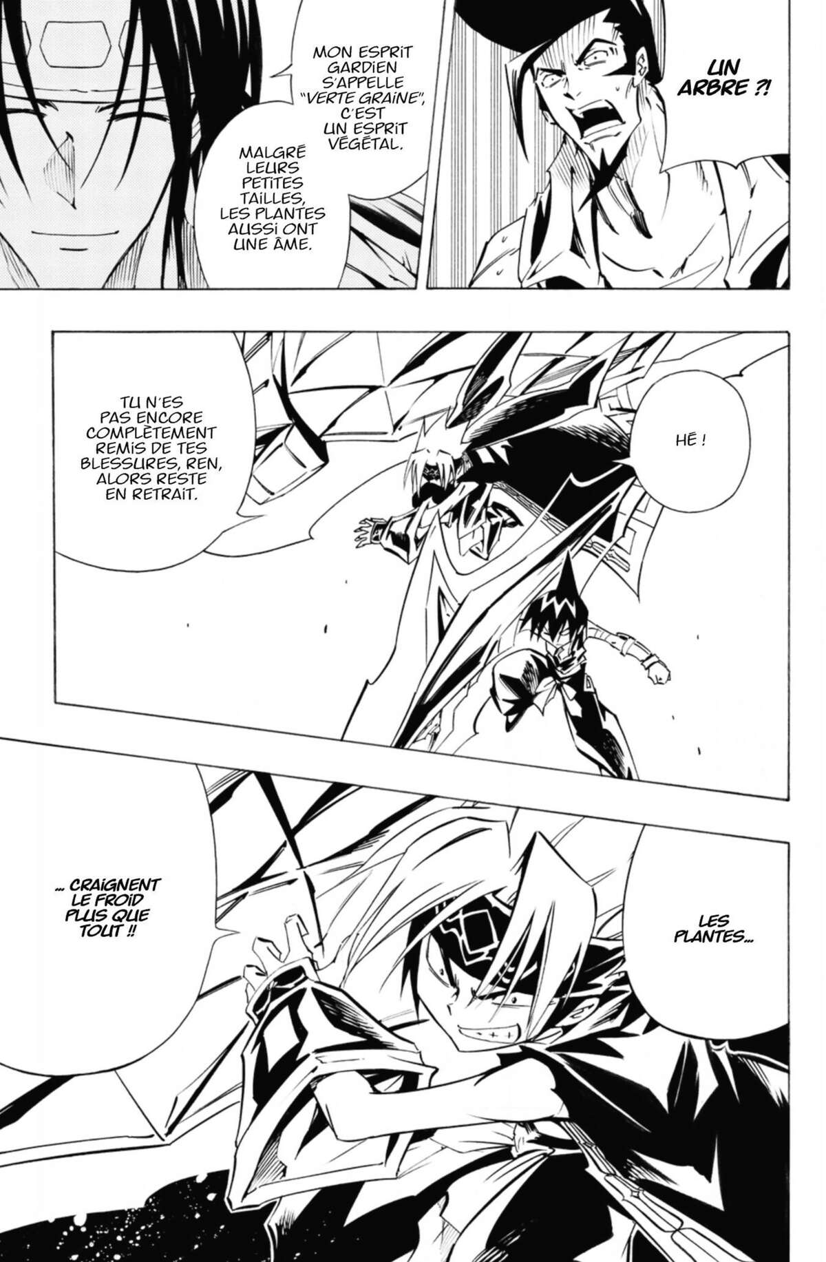 Shaman King – Star Edition Volume 17 page 126