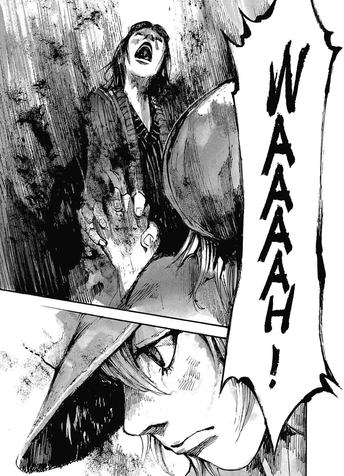 NeuN Volume 4 page 164