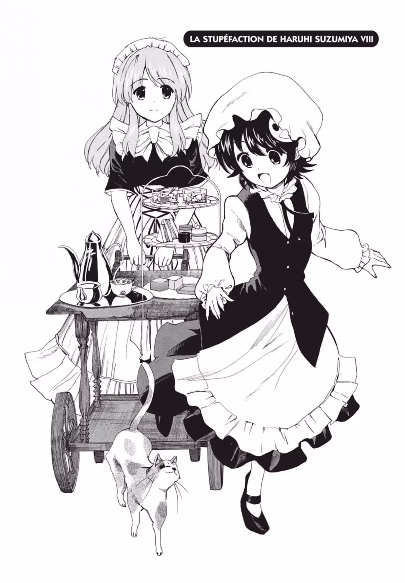 La Mélancolie de Haruhi – Brigade S.O.S Volume 19 page 41