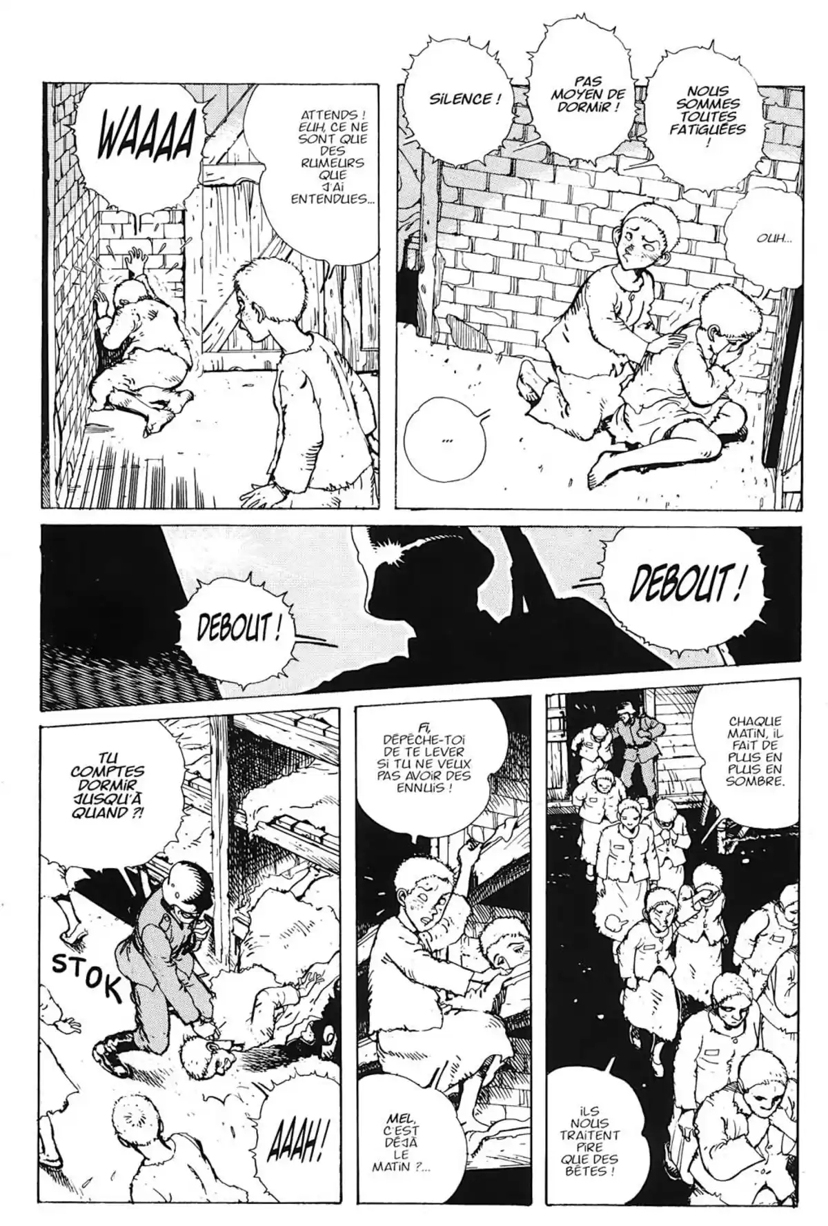 Fleur de pierre Volume 1 page 105