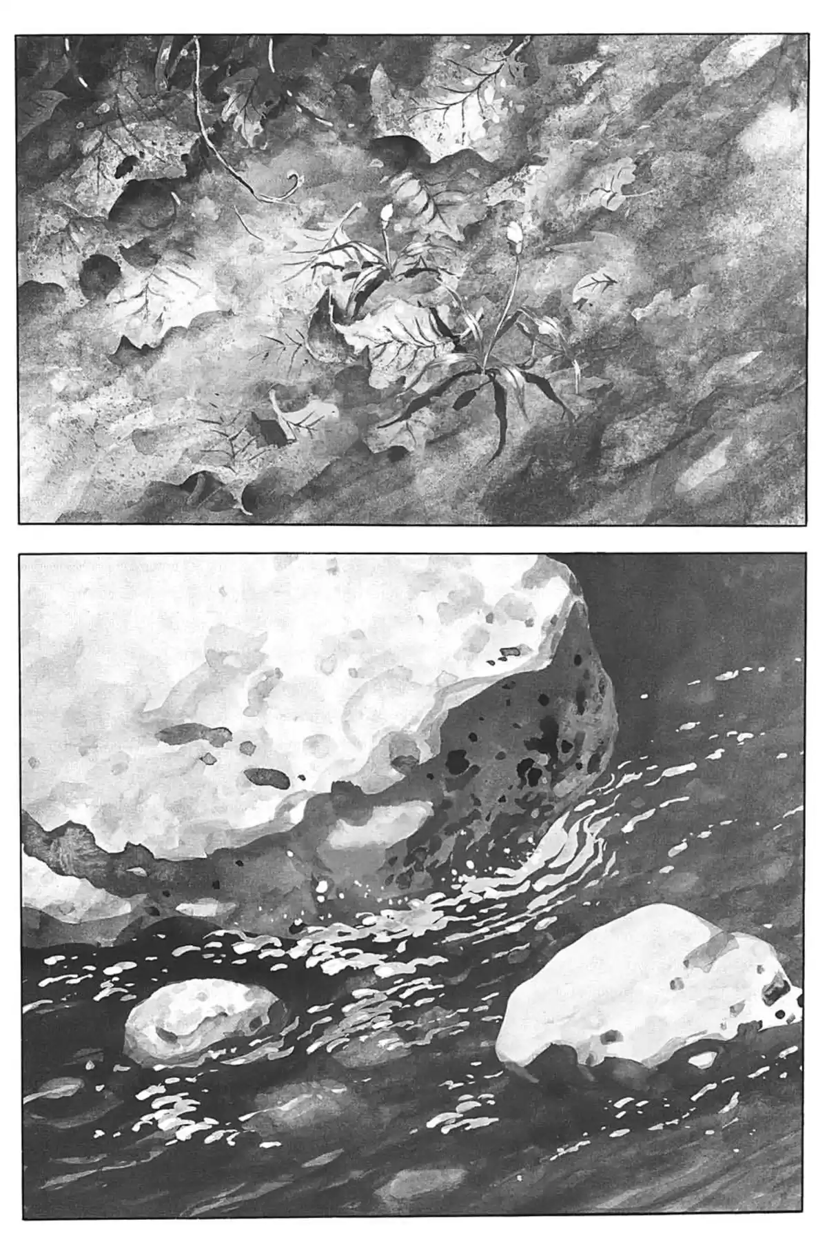 Fleur de pierre Volume 1 page 8