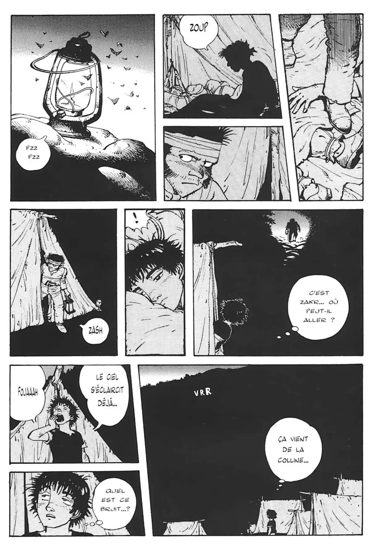 Fleur de pierre Volume 3 page 109