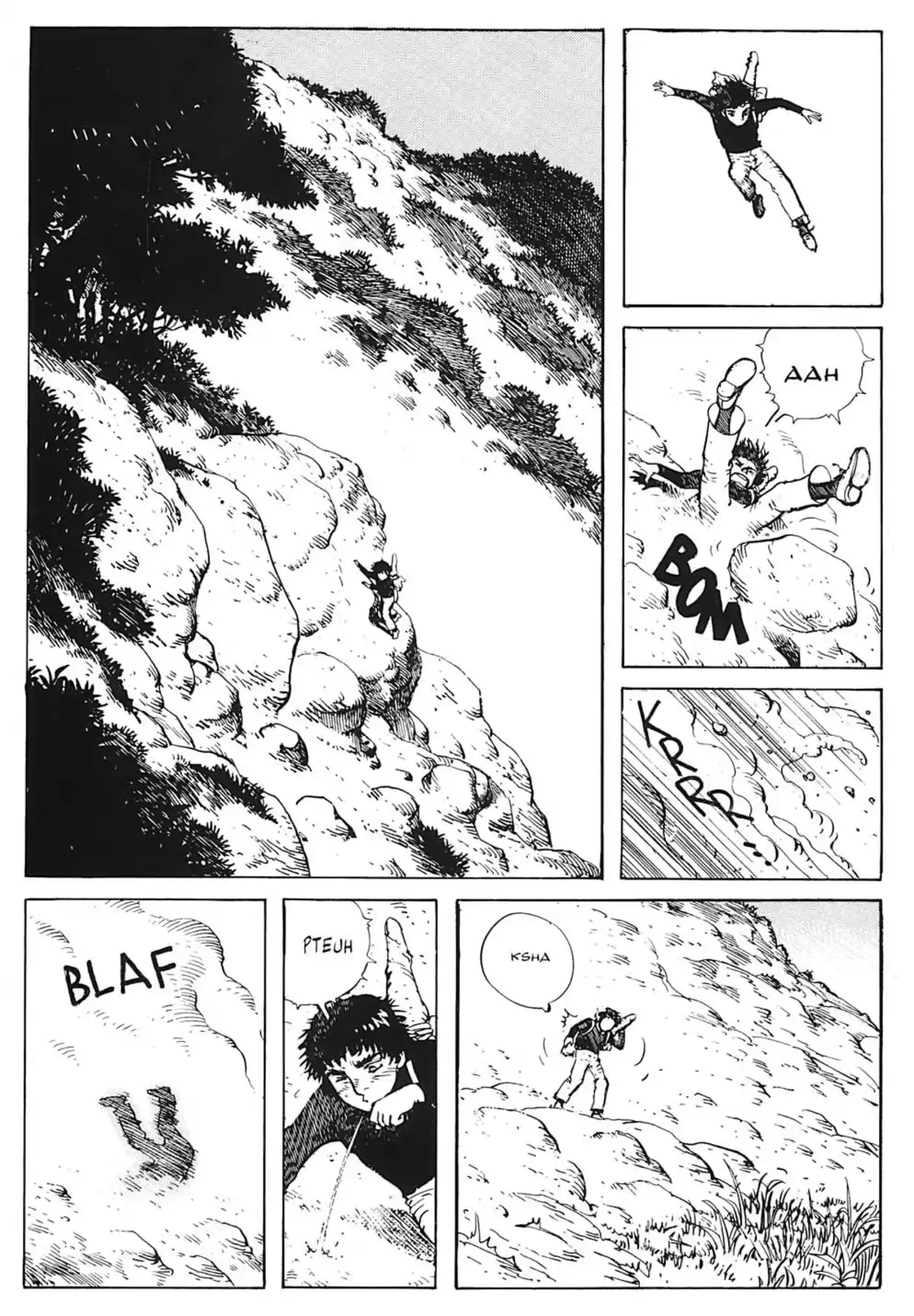 Fleur de pierre Volume 2 page 49