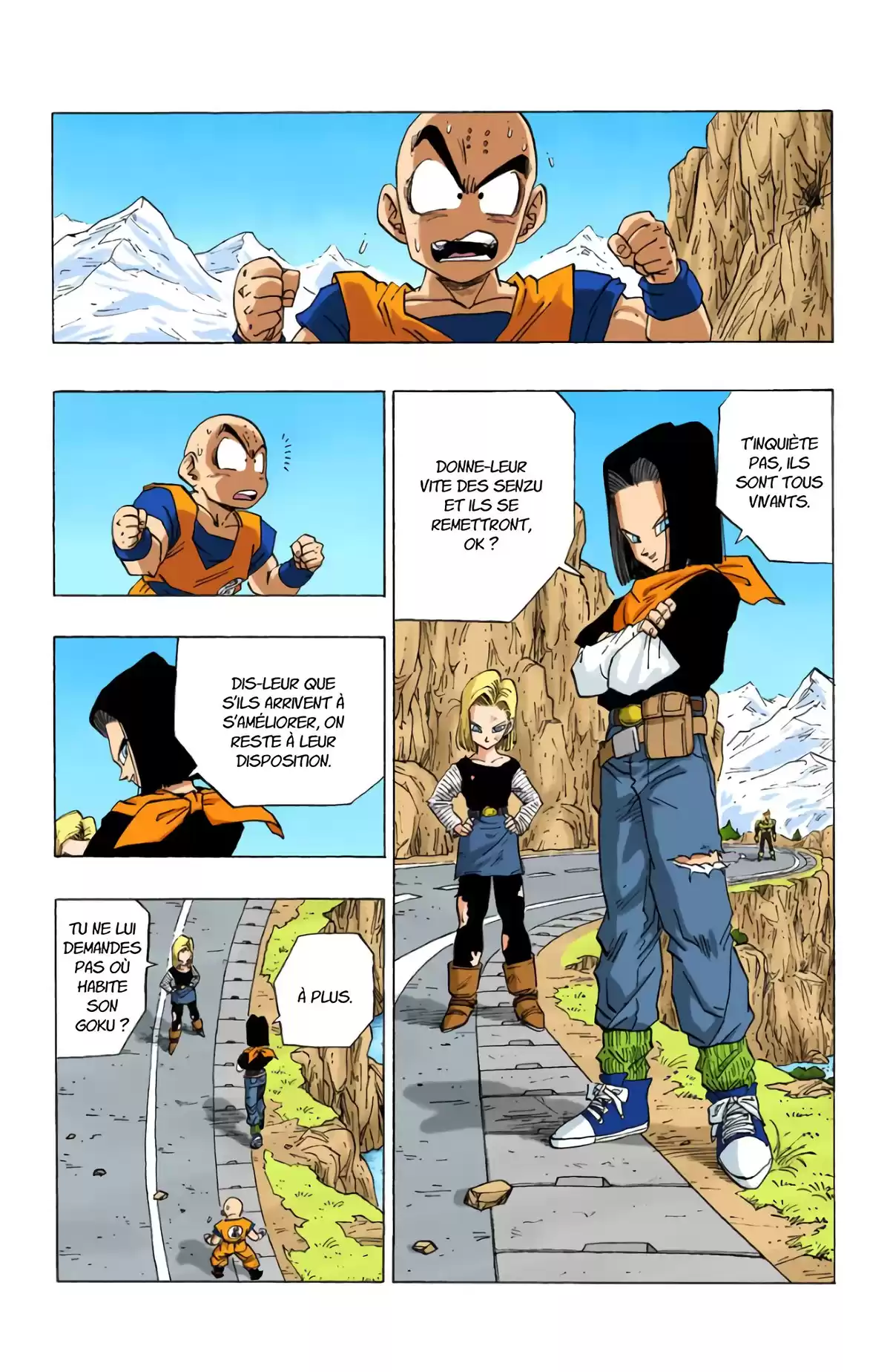 Dragon Ball Volume 30 page 17