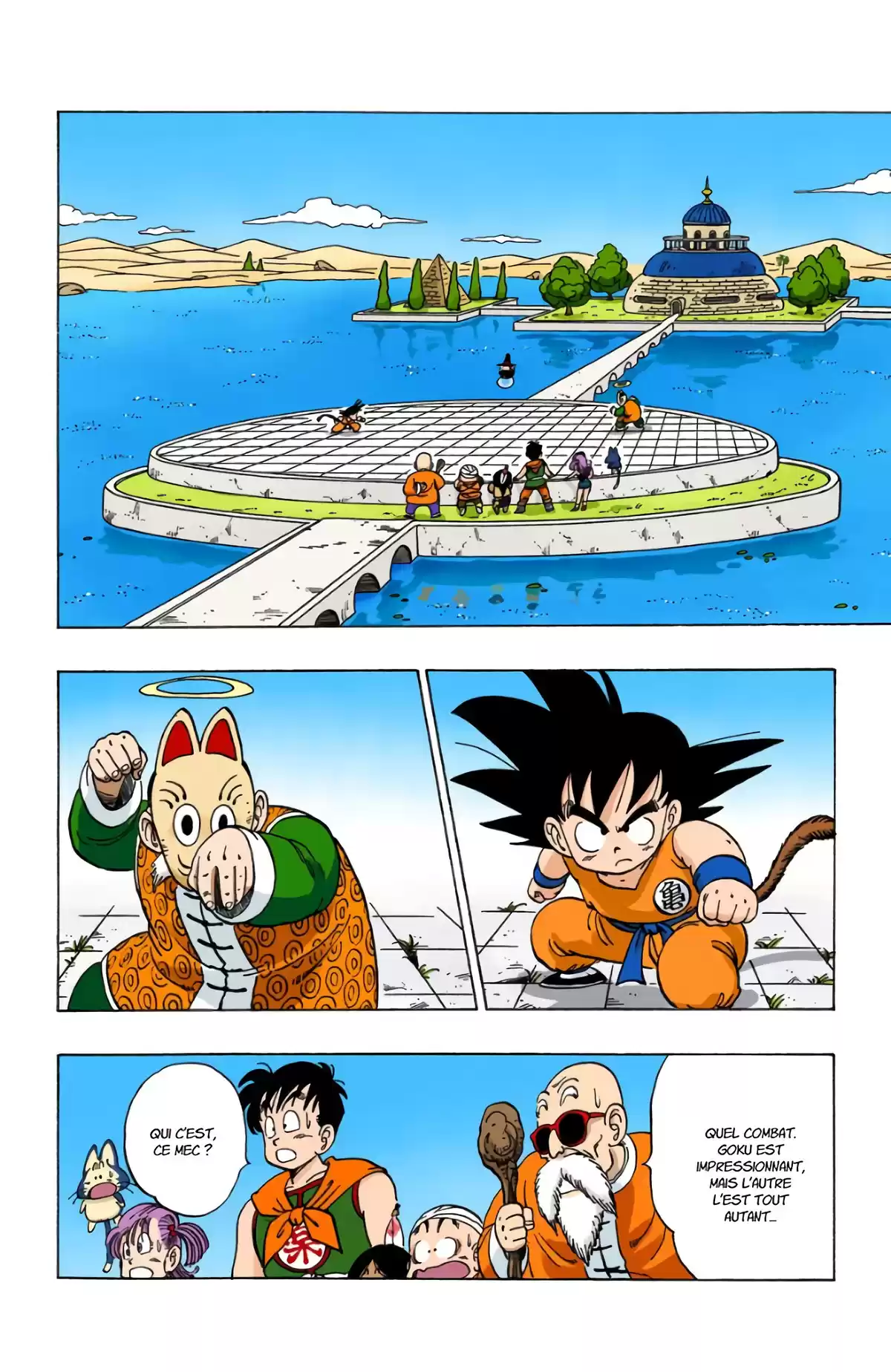 Dragon Ball Volume 9 page 79