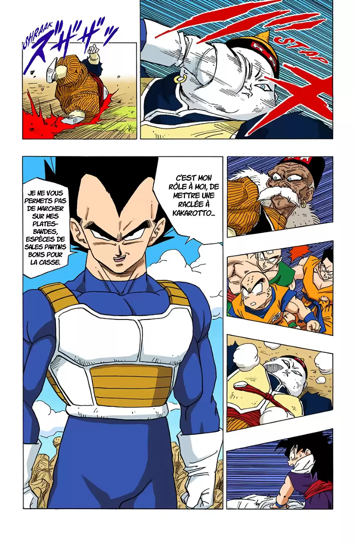 Dragon Ball Volume 29 page 17