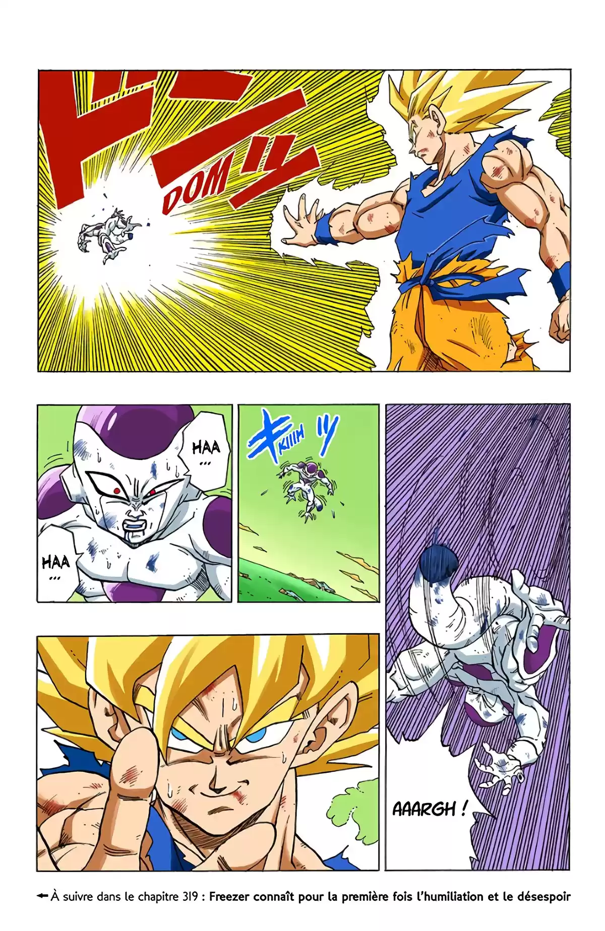 Dragon Ball Volume 27 page 17