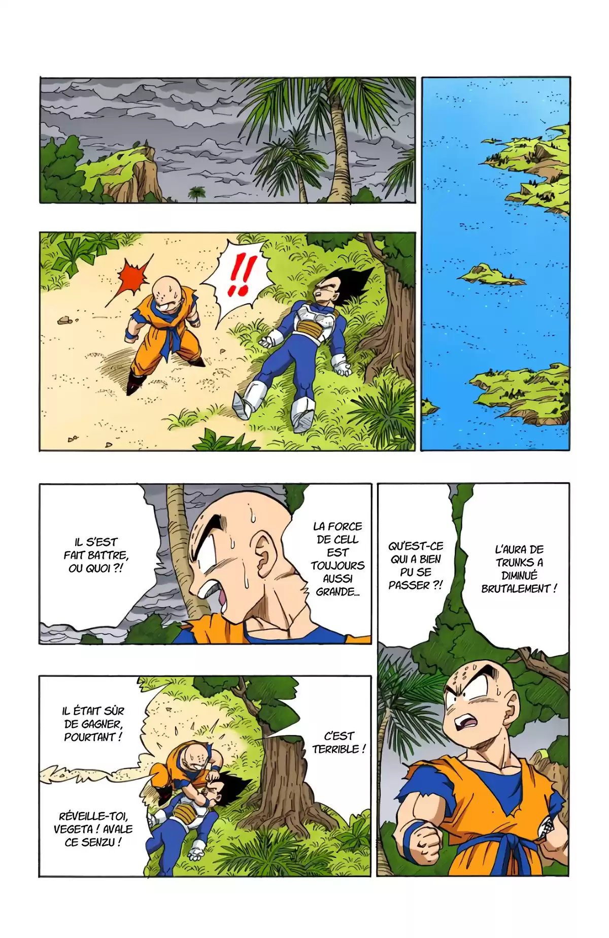 Dragon Ball Volume 33 page 7