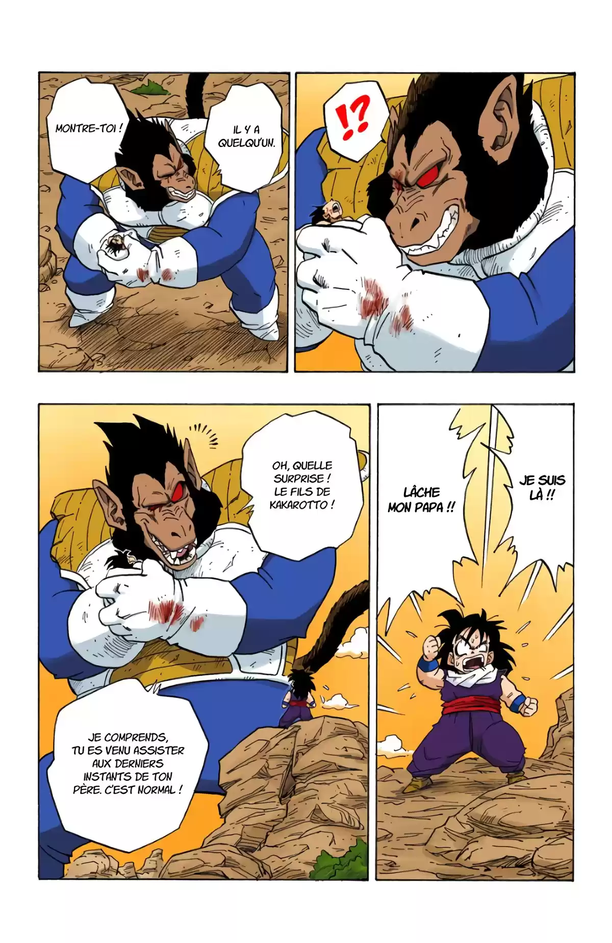 Dragon Ball Volume 20 page 70