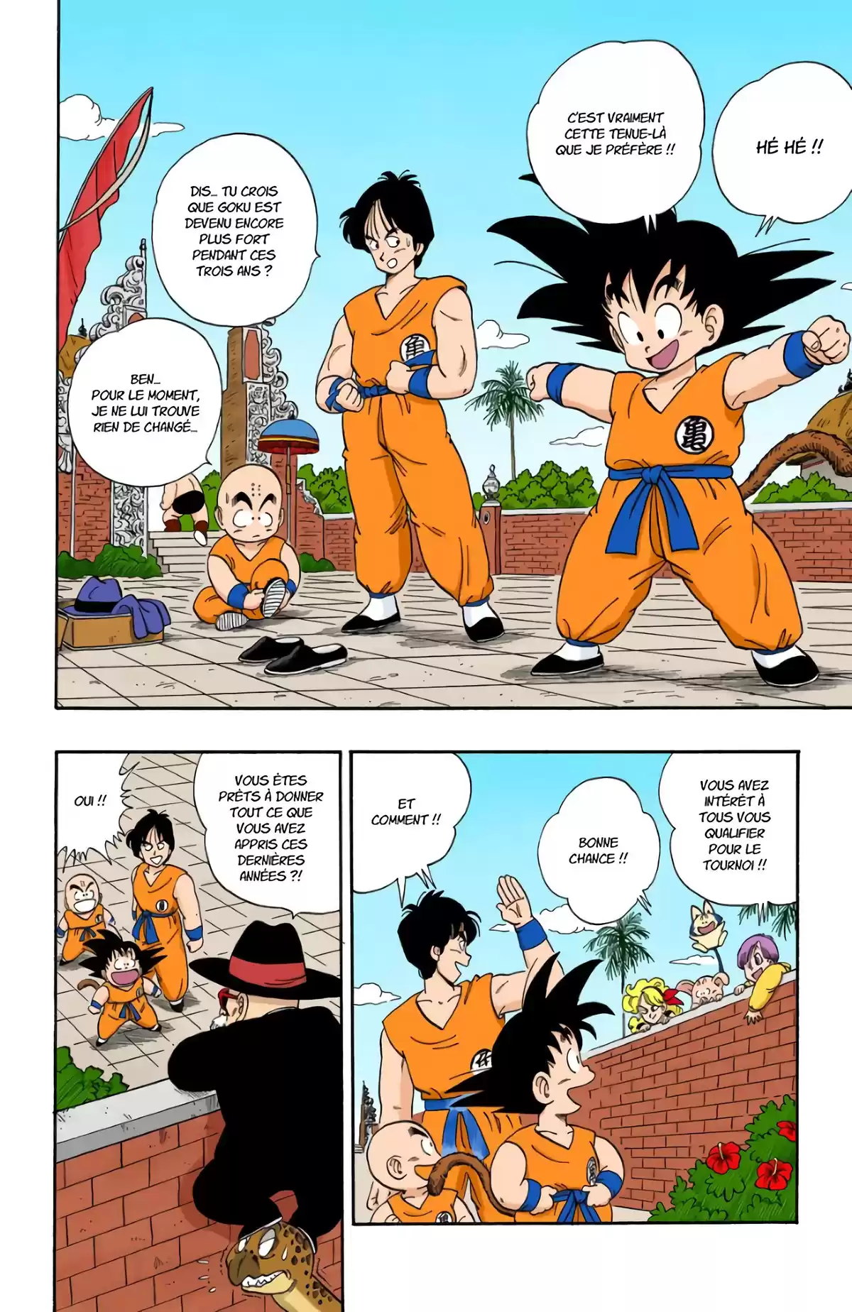 Dragon Ball Volume 10 page 14