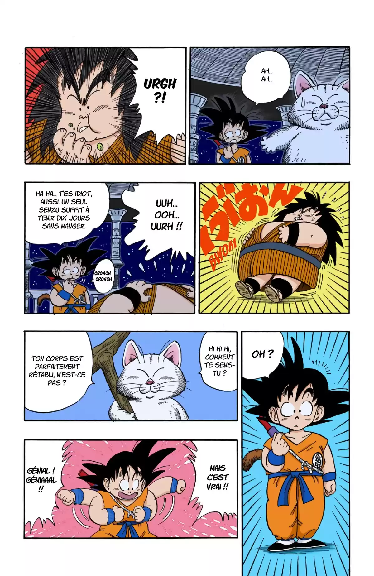 Dragon Ball Volume 13 page 60