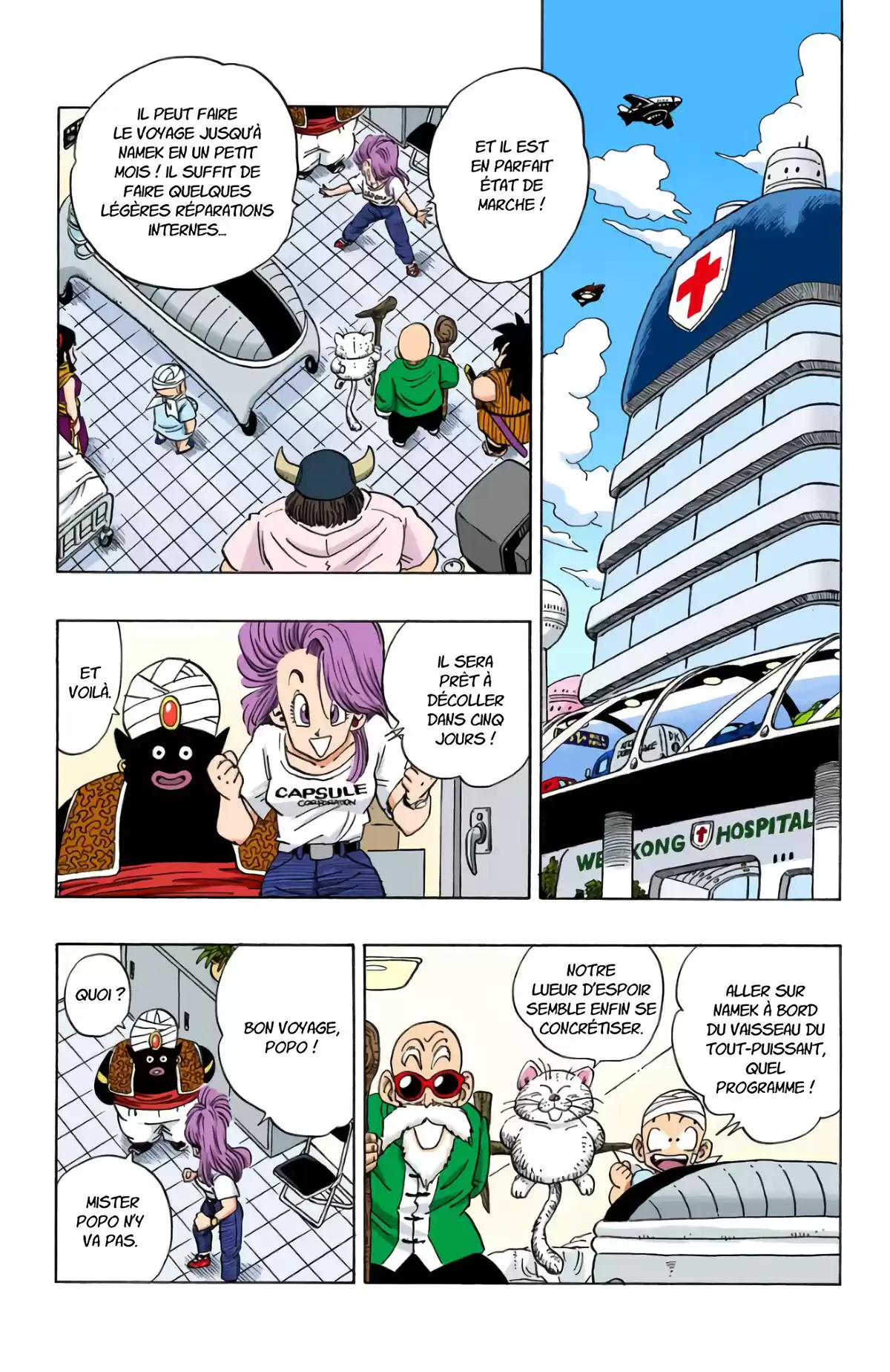 Dragon Ball Volume 21 page 19