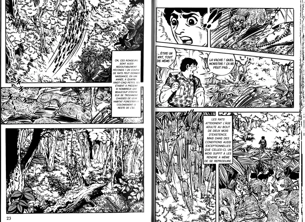 Survivant (Saito Takao) Volume 3 page 13