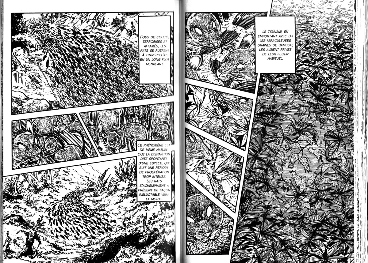 Survivant (Saito Takao) Volume 3 page 38