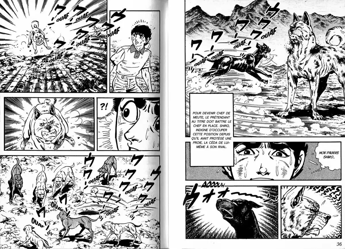 Survivant (Saito Takao) Volume 9 page 19