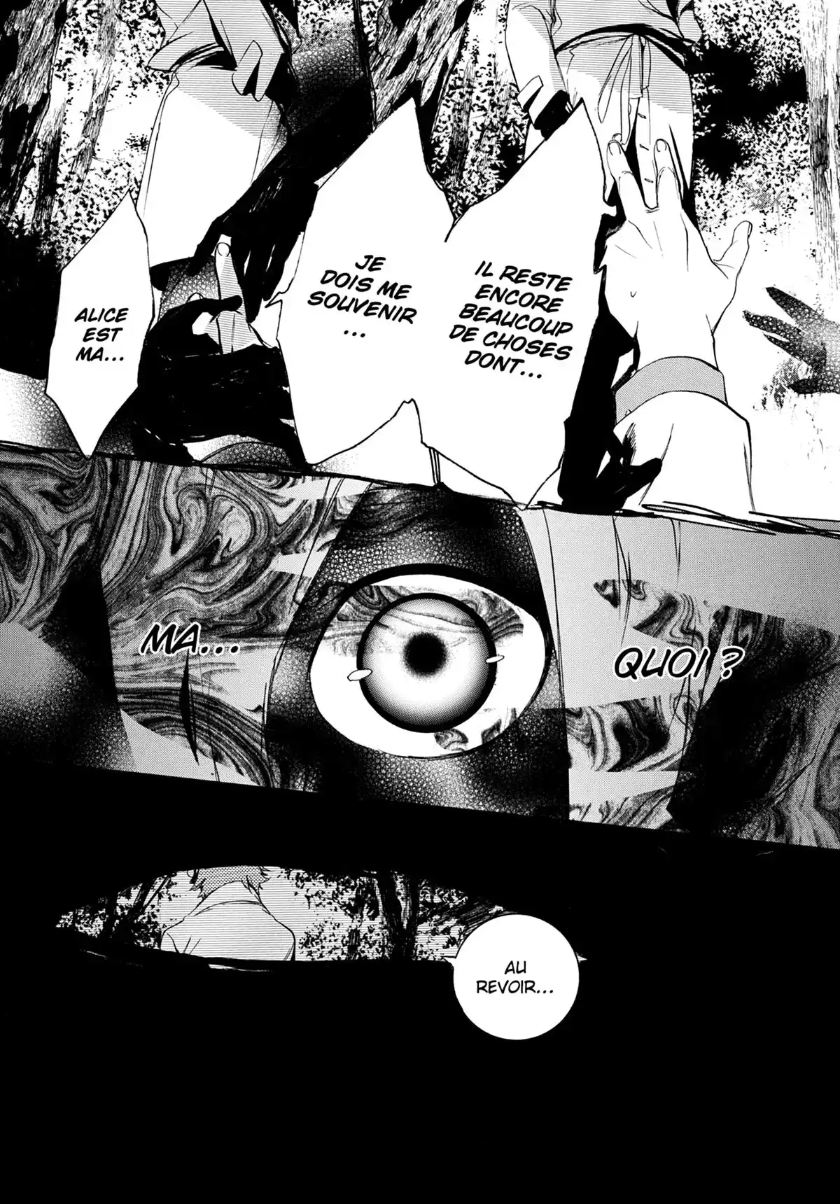 Are you Alice ? Volume 8 page 112