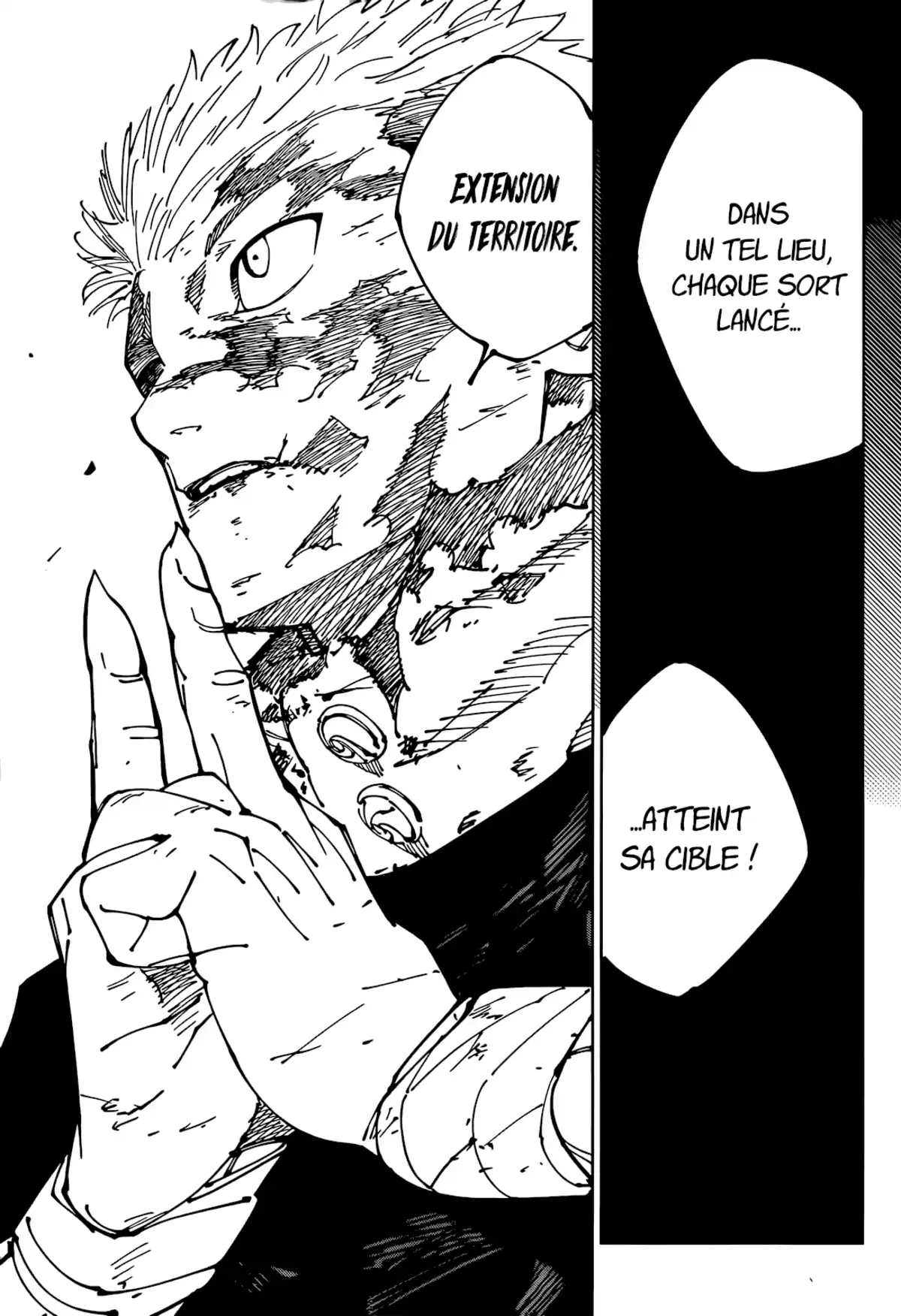 Jujutsu Kaisen Chapitre 264 page 17