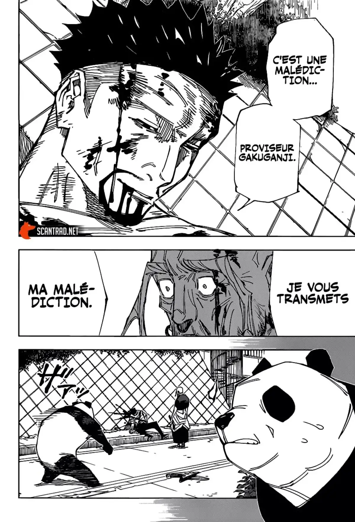 Jujutsu Kaisen Chapitre 147 page 17