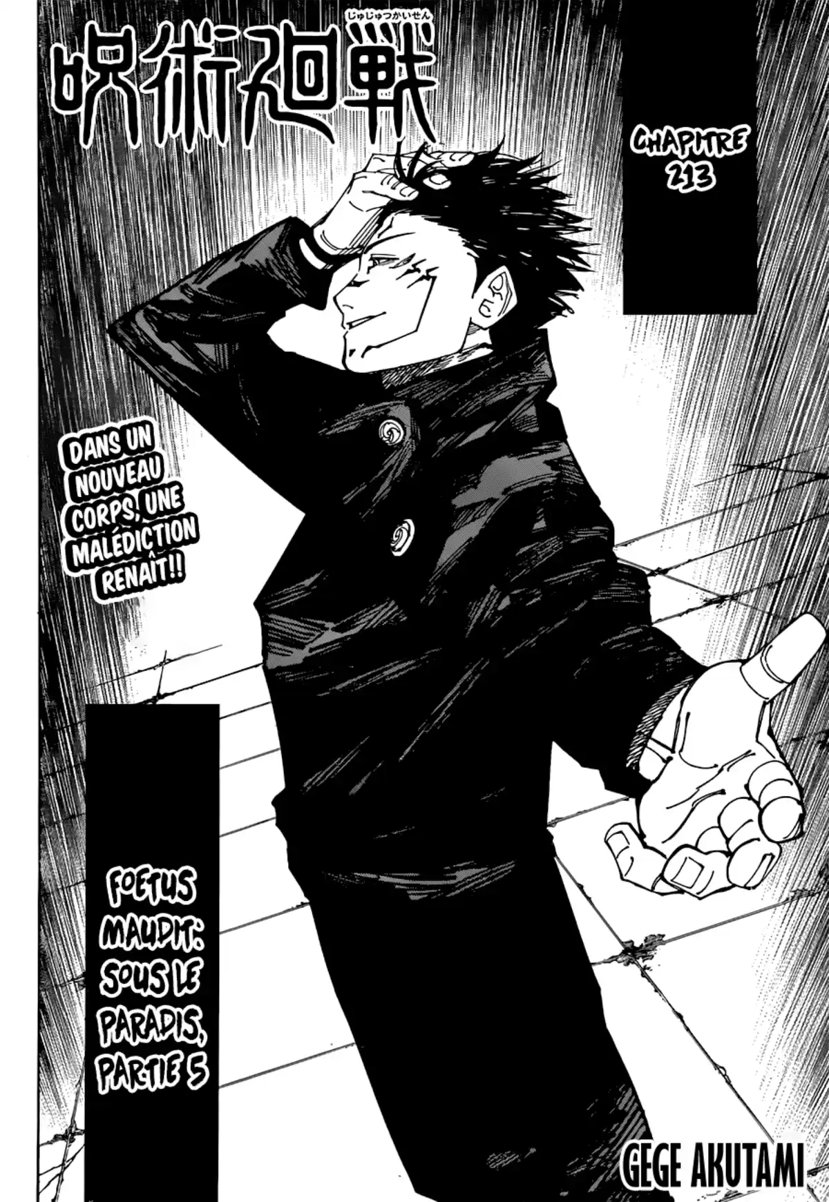Jujutsu Kaisen Chapitre 213 page 2