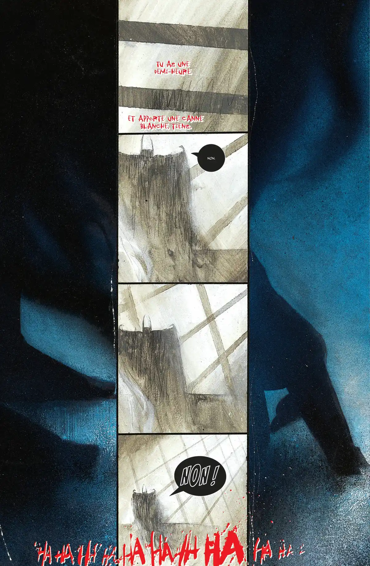 Batman : Arkham Asylum Volume 1 page 14