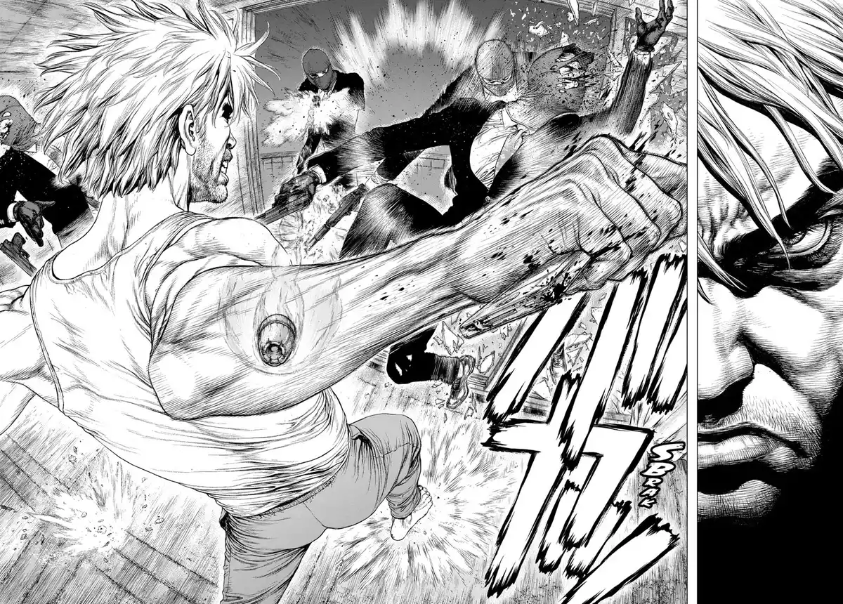 Wallman Volume 1 page 43