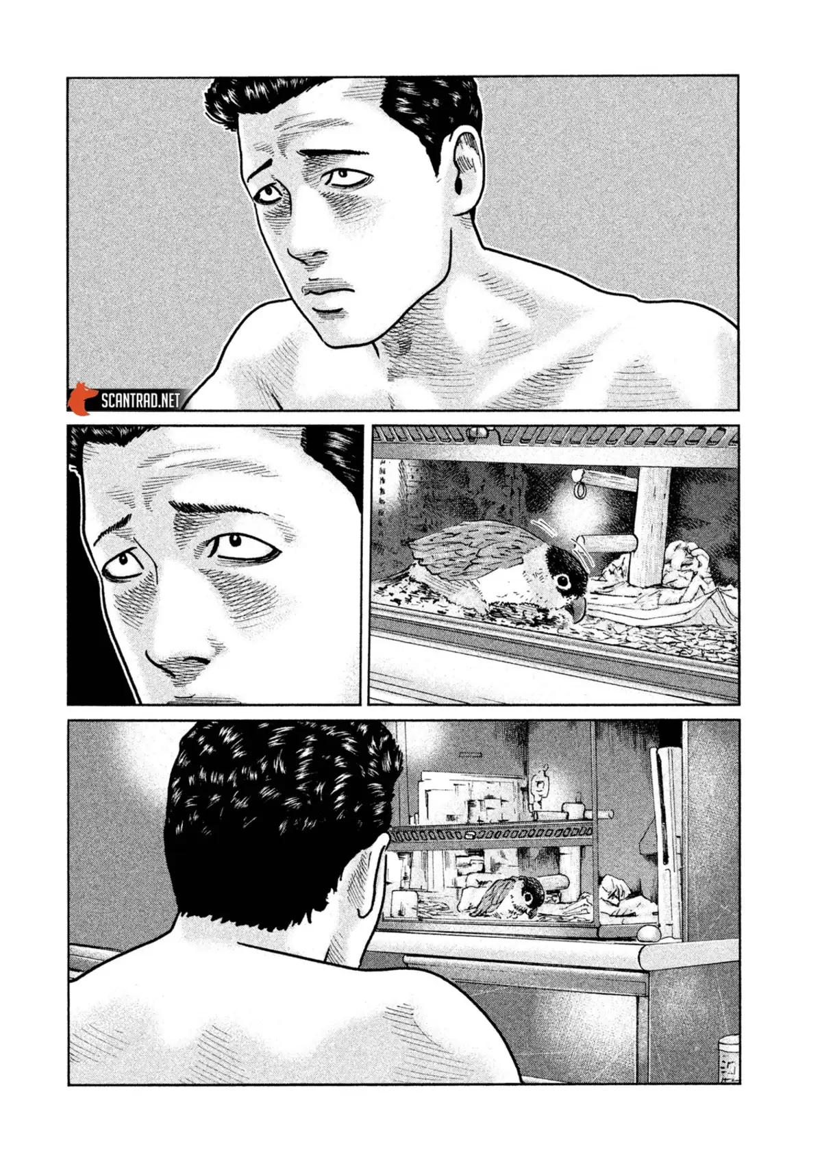 The Fable Volume 5 page 17