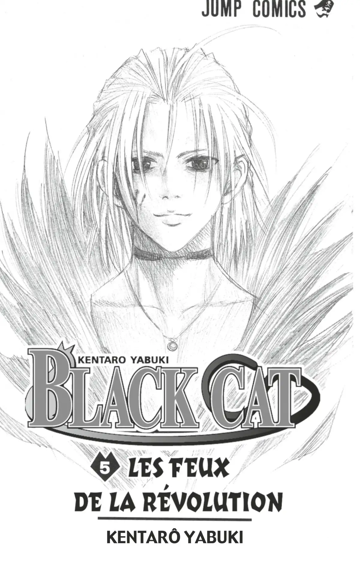 Black Cat Volume 5 page 2