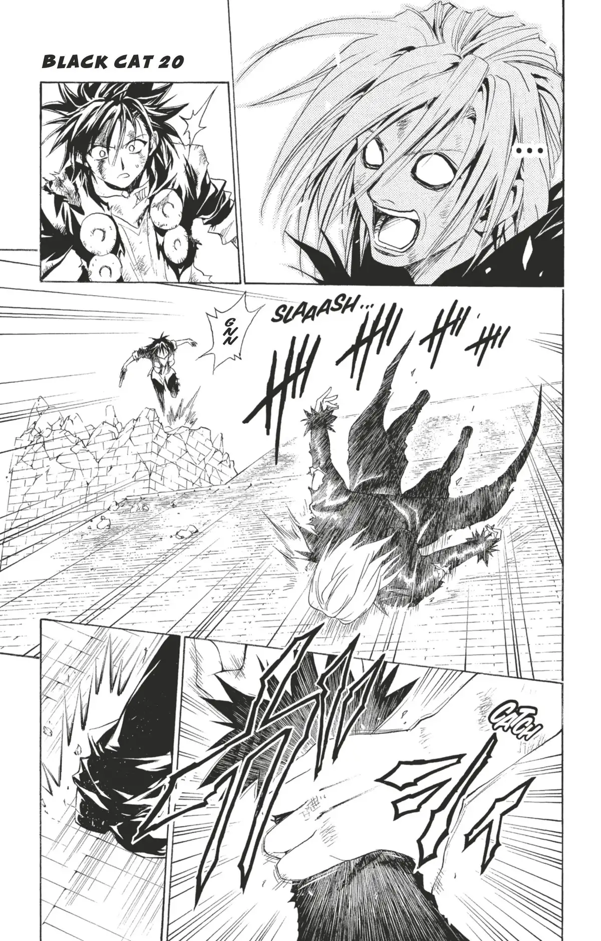 Black Cat Volume 20 page 166