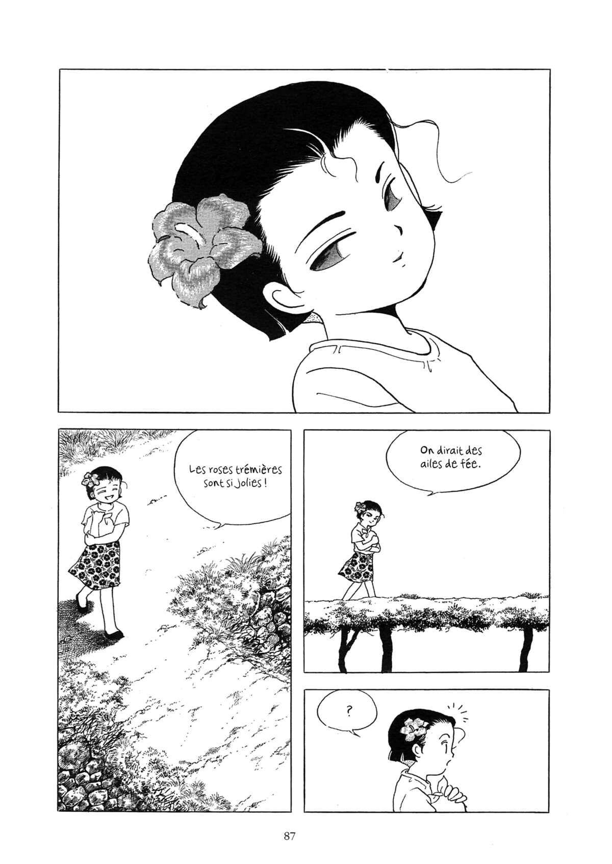 Histoire couleur terre Volume 1 page 75
