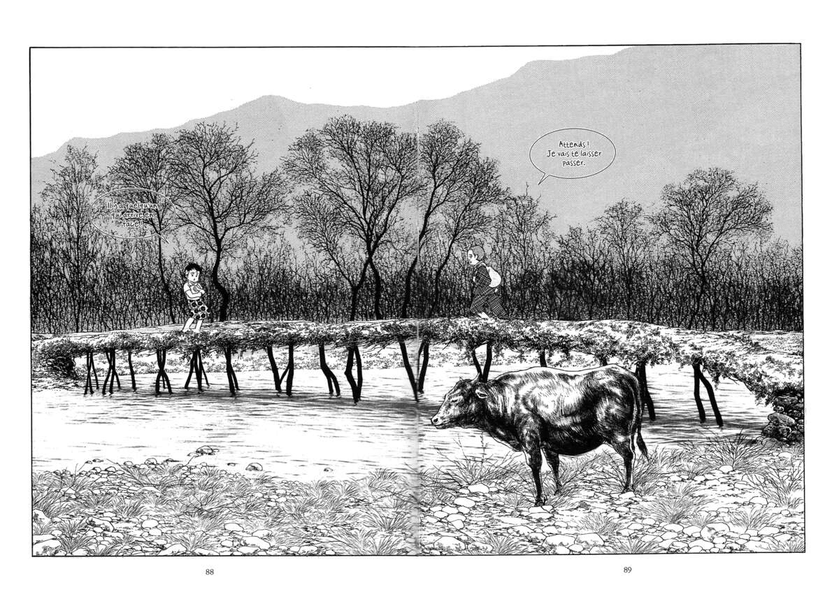 Histoire couleur terre Volume 1 page 76