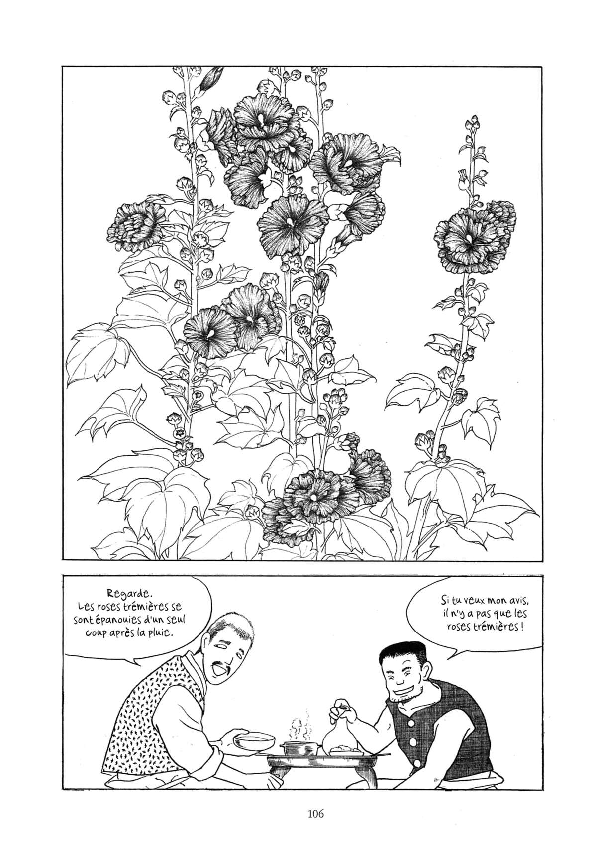 Histoire couleur terre Volume 1 page 92