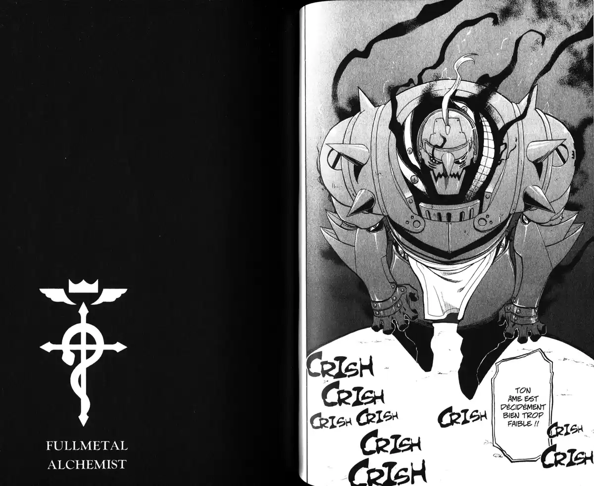 Fullmetal Alchemist Volume 21 page 45