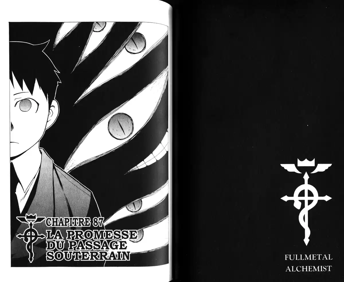 Fullmetal Alchemist Volume 21 page 69