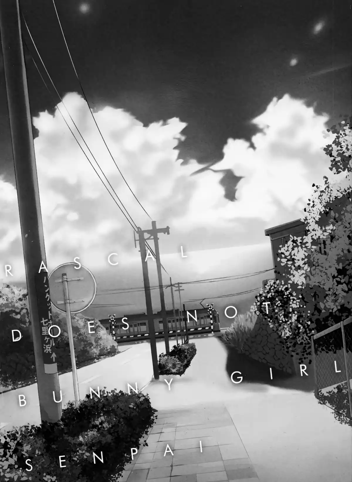 Rascal Does Not Dream of Bunny Girl Senpai Volume 1 page 3