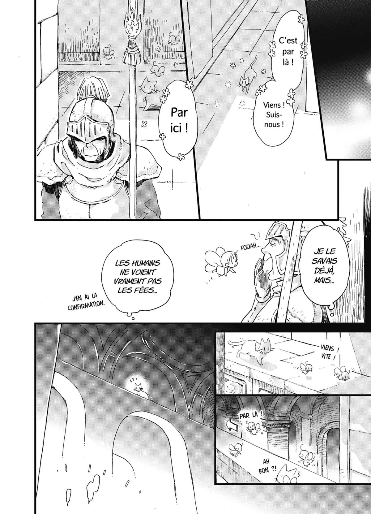 Les fées, le Roi-Dragon et moi (en chat) Volume 3 page 17