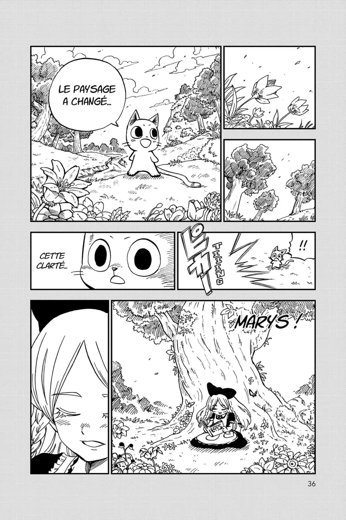 Fairy Tail – La grande aventure de Happy Volume 6 page 37